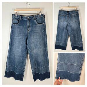 Anthropologie Pilcro High Rise Cropped Wide Leg Jeans Released Hem Women's Sz 32